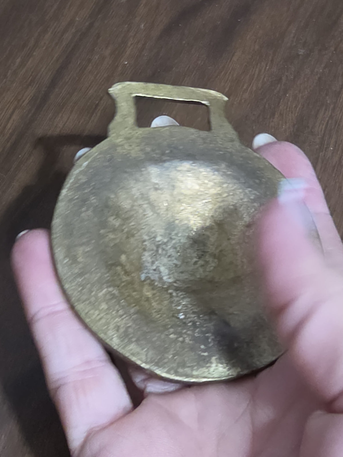 Oddly Darling Vintage brass horse harness medallion with a warm patina held in a hand for scale.